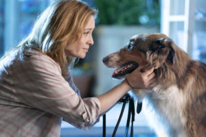 Rescued by Ruby. Camille Sullivan as Pat in Rescued by Ruby. Cr. Ricardo Hubbs/Netflix © 2022