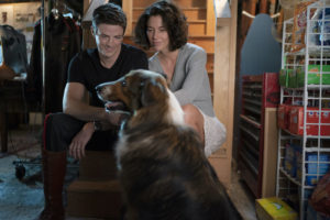 Rescued by Ruby. (L to R) Grant Gustin as Daniel, Kaylah Zander as Melissa in Rescued by Ruby. Cr. Ricardo Hubbs/Netflix © 2022