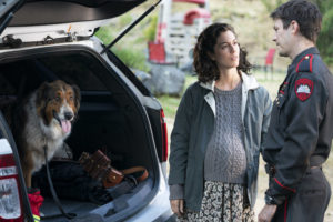 Rescued by Ruby. (L to R) Kaylah Zander as Melissa, Grant Gustin as Daniel in Rescued by Ruby. Cr. Ricardo Hubbs/Netflix © 2022